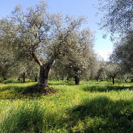 Casavacanza Borgo Cenaioli Tra Toscana E Umbria Trasimeno *
